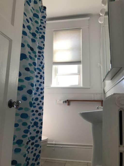 Appartement Bright, Clean, Private. In The Heart Of Downtown! Parking, Wi-Fi And Netflix Included à Ottawa Extérieur photo